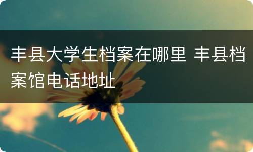 丰县大学生档案在哪里 丰县档案馆电话地址