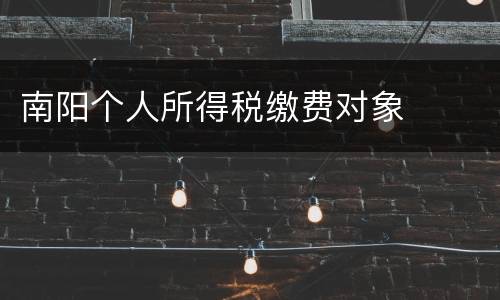 南阳个人所得税缴费对象