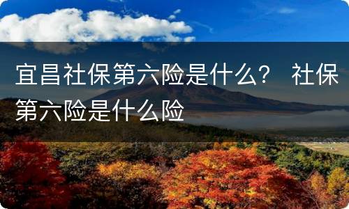宜昌社保第六险是什么？ 社保第六险是什么险