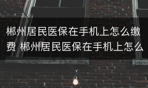 郴州居民医保在手机上怎么缴费 郴州居民医保在手机上怎么缴费不了