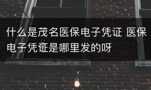什么是茂名医保电子凭证 医保电子凭证是哪里发的呀