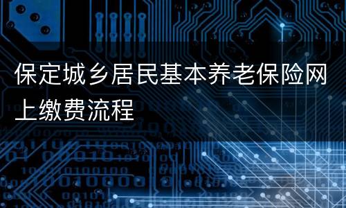保定城乡居民基本养老保险网上缴费流程