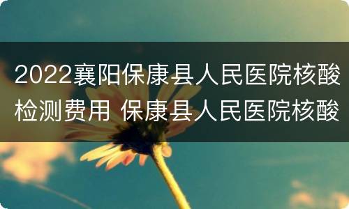 2022襄阳保康县人民医院核酸检测费用 保康县人民医院核酸检测报告什么时候能拿