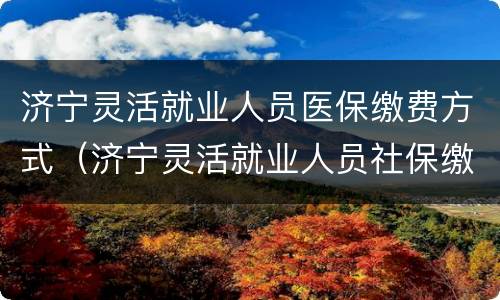 济宁灵活就业人员医保缴费方式（济宁灵活就业人员社保缴费费用）
