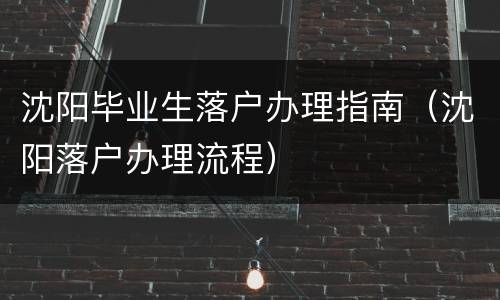 沈阳毕业生落户办理指南（沈阳落户办理流程）