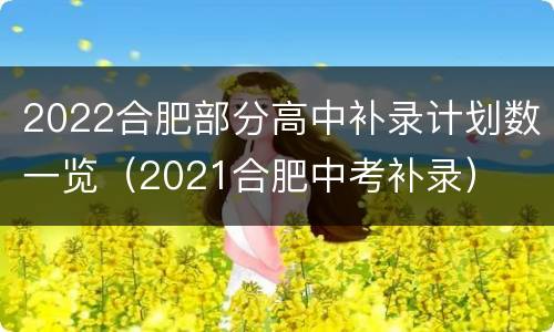 2022合肥部分高中补录计划数一览（2021合肥中考补录）