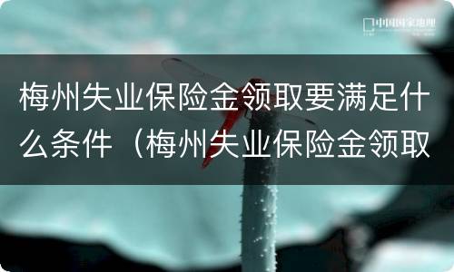 梅州失业保险金领取要满足什么条件（梅州失业保险金领取要满足什么条件才能领取）