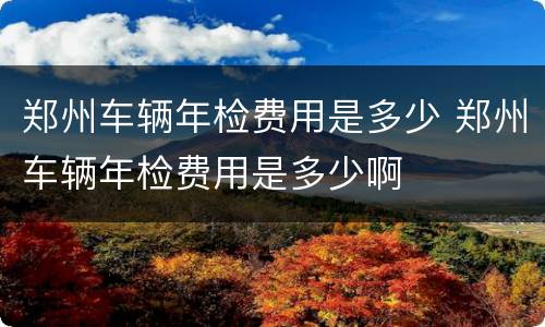 郑州车辆年检费用是多少 郑州车辆年检费用是多少啊