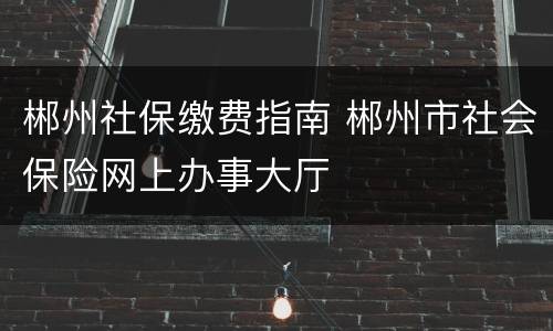 郴州社保缴费指南 郴州市社会保险网上办事大厅