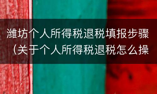 潍坊个人所得税退税填报步骤（关于个人所得税退税怎么操作）