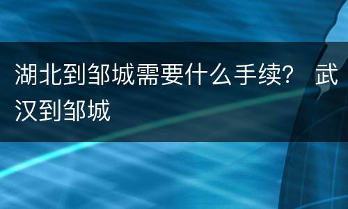 湖北到邹城需要什么手续？ 武汉到邹城