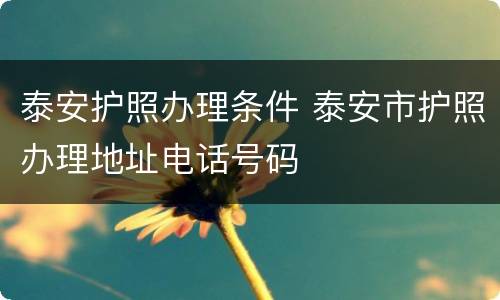 泰安护照办理条件 泰安市护照办理地址电话号码