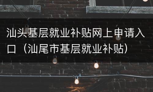 汕头基层就业补贴网上申请入口（汕尾市基层就业补贴）