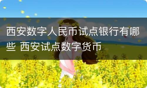 西安数字人民币试点银行有哪些 西安试点数字货币
