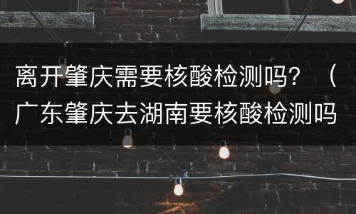 离开肇庆需要核酸检测吗？（广东肇庆去湖南要核酸检测吗）