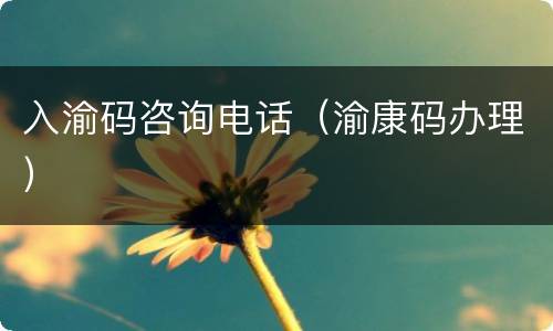 入渝码咨询电话（渝康码办理）