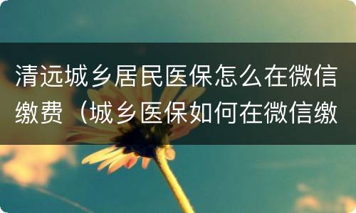 清远城乡居民医保怎么在微信缴费（城乡医保如何在微信缴费）