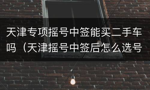 天津专项摇号中签能买二手车吗（天津摇号中签后怎么选号已有车辆）