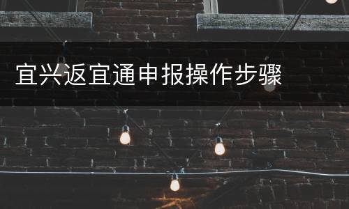 宜兴返宜通申报操作步骤