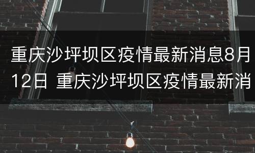 重庆沙坪坝区疫情最新消息8月12日 重庆沙坪坝区疫情最新消息8月12日是什么