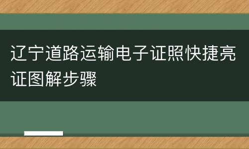 辽宁道路运输电子证照快捷亮证图解步骤