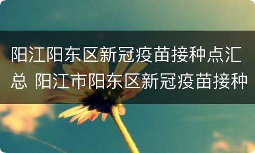 阳江阳东区新冠疫苗接种点汇总 阳江市阳东区新冠疫苗接种点