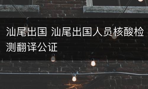 汕尾出国 汕尾出国人员核酸检测翻译公证