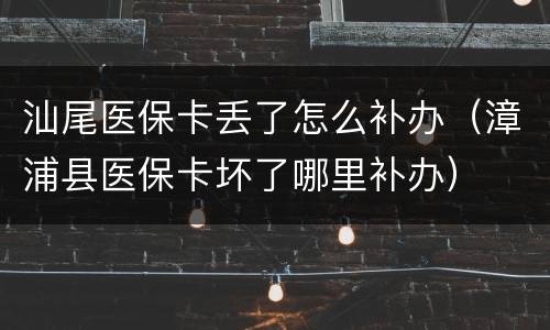 汕尾医保卡丢了怎么补办（漳浦县医保卡坏了哪里补办）