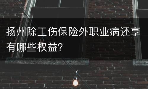 扬州除工伤保险外职业病还享有哪些权益？