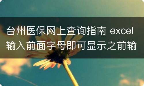 台州医保网上查询指南 excel输入前面字母即可显示之前输入过的信息