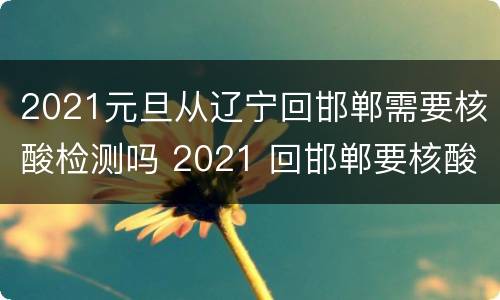 2021元旦从辽宁回邯郸需要核酸检测吗 2021 回邯郸要核酸检测吗