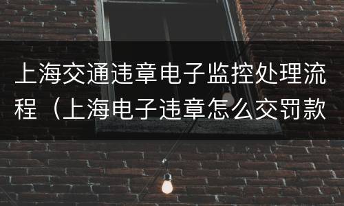 上海交通违章电子监控处理流程（上海电子违章怎么交罚款）