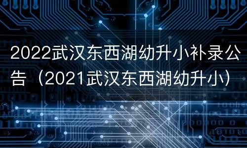 2022武汉东西湖幼升小补录公告（2021武汉东西湖幼升小）