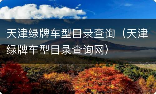 天津绿牌车型目录查询（天津绿牌车型目录查询网）