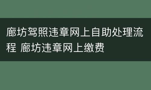 廊坊驾照违章网上自助处理流程 廊坊违章网上缴费