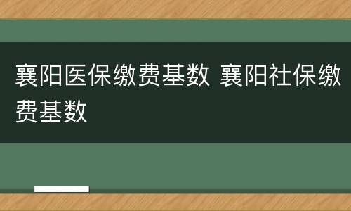 襄阳医保缴费基数 襄阳社保缴费基数