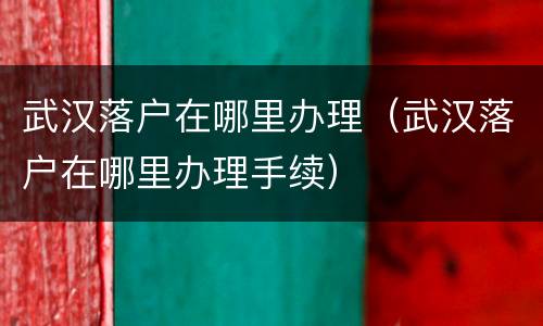 武汉落户在哪里办理（武汉落户在哪里办理手续）