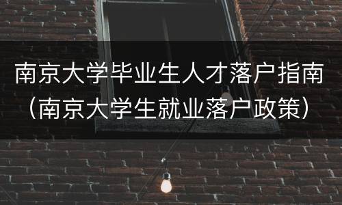南京大学毕业生人才落户指南（南京大学生就业落户政策）