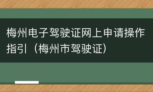 梅州电子驾驶证网上申请操作指引（梅州市驾驶证）