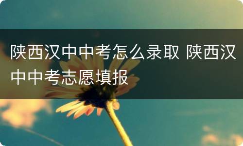 陕西汉中中考怎么录取 陕西汉中中考志愿填报
