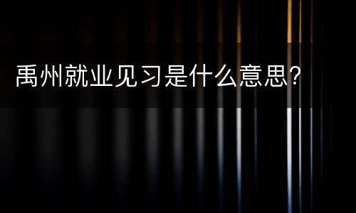 禹州就业见习是什么意思?