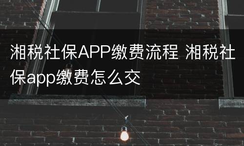 湘税社保APP缴费流程 湘税社保app缴费怎么交