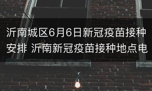 沂南城区6月6日新冠疫苗接种安排 沂南新冠疫苗接种地点电话