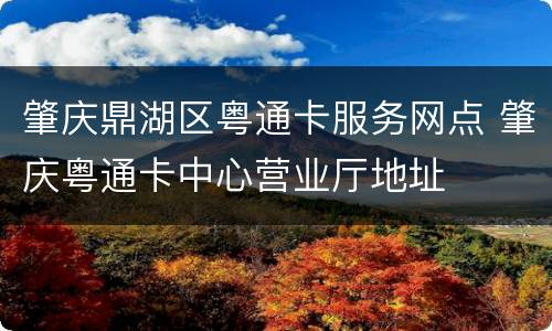 肇庆鼎湖区粤通卡服务网点 肇庆粤通卡中心营业厅地址