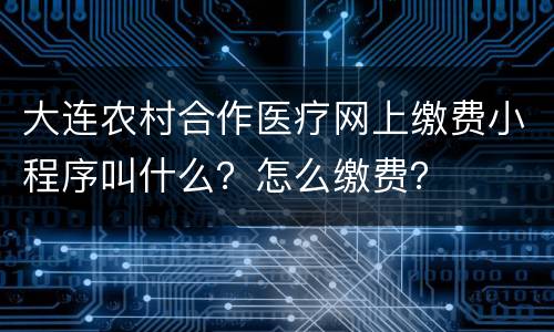 大连农村合作医疗网上缴费小程序叫什么？怎么缴费？