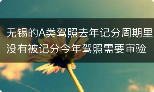 无锡的A类驾照去年记分周期里没有被记分今年驾照需要审验吗？