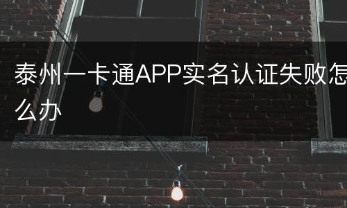 泰州一卡通APP实名认证失败怎么办