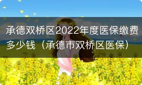 承德双桥区2022年度医保缴费多少钱（承德市双桥区医保）