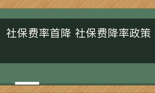 社保费率首降 社保费降率政策