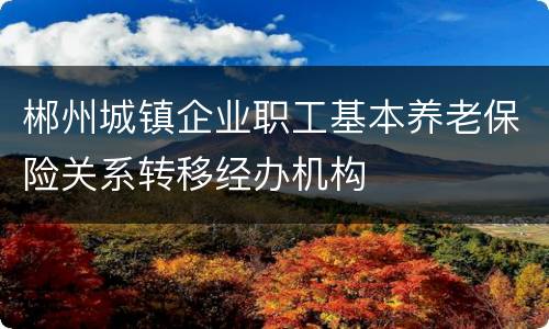 郴州城镇企业职工基本养老保险关系转移经办机构